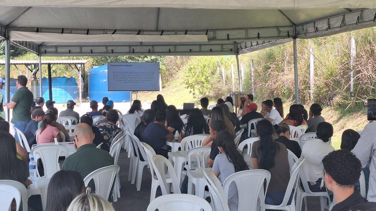 Sem Título